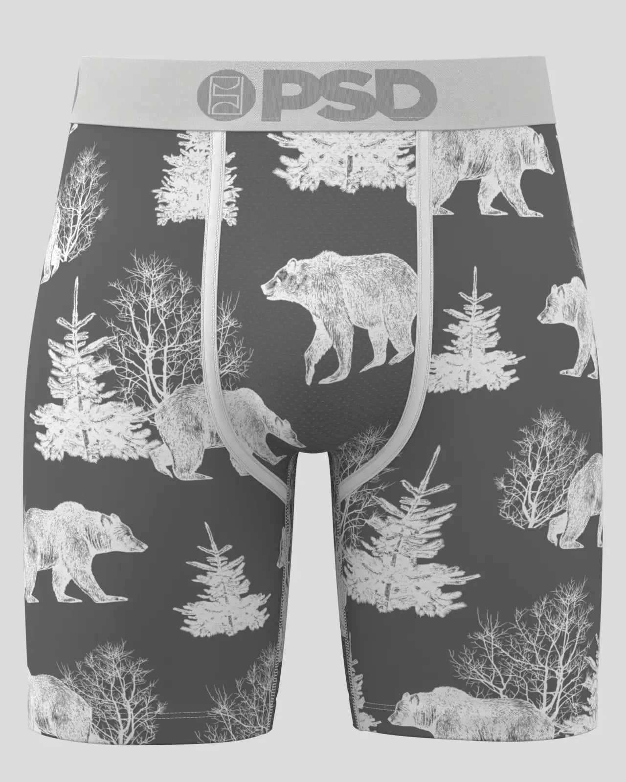 BEAR CHILL - Image 2