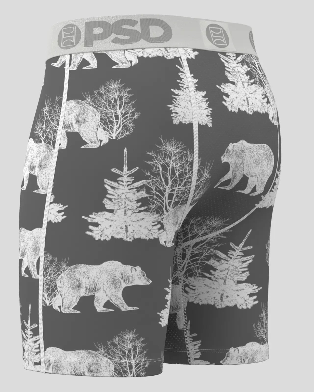 BEAR CHILL - Image 3